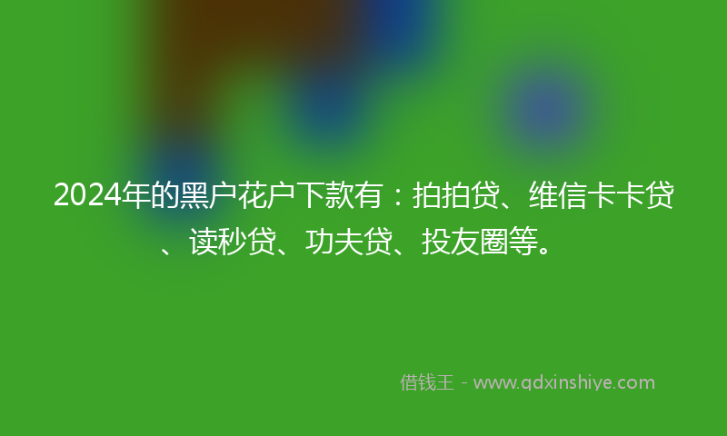 2024年的黑户花户下款有：拍拍贷、维信卡卡贷、读秒贷、功夫贷、投友圈等。