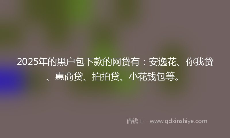 2025年的黑户包下款的网贷有：安逸花、你我贷、惠商贷、拍拍贷、小花钱包等。