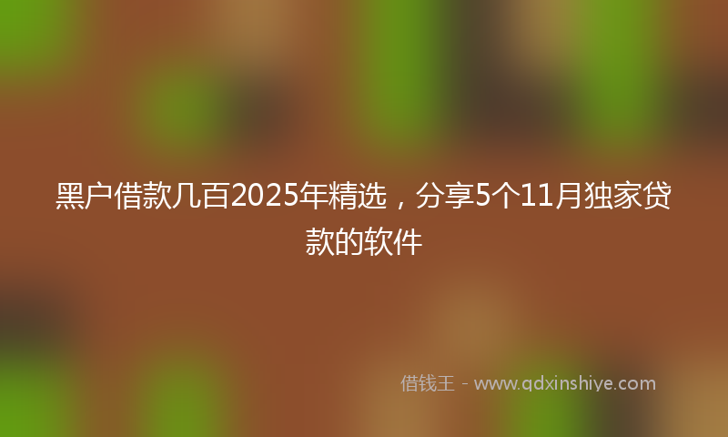 黑户借款几百2025年精选，分享5个11月独家贷款的软件
