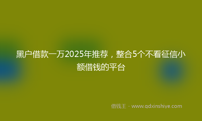 黑户借款一万2025年推荐，整合5个不看征信小额借钱的平台