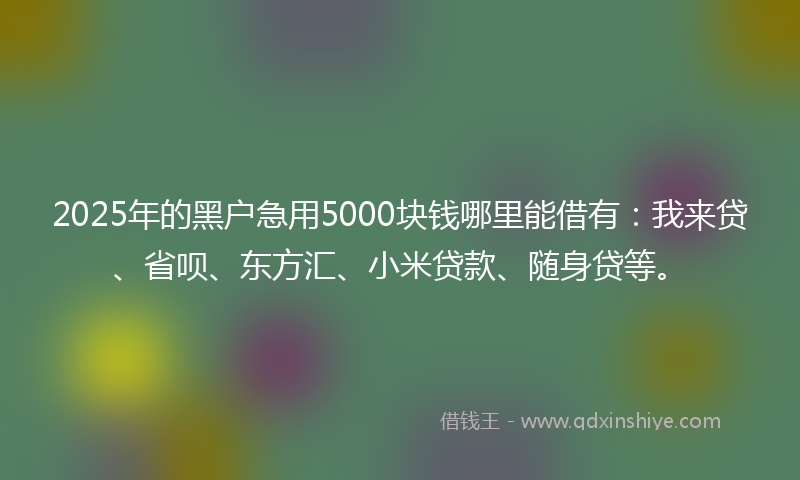 2025年的黑户急用5000块钱哪里能借有：我来贷、省呗、东方汇、小米贷款、随身贷等。