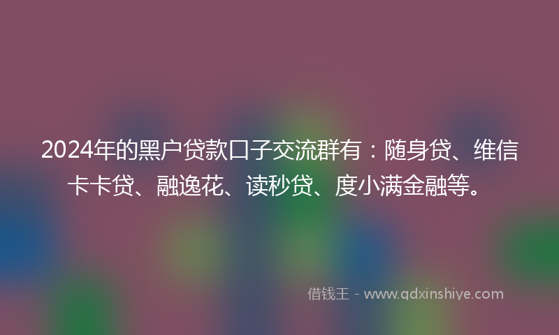 2024年的黑户贷款口子交流群有：随身贷、维信卡卡贷、融逸花、读秒贷、度小满金融等。