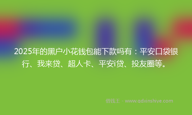 2025年的黑户小花钱包能下款吗有：平安口袋银行、我来贷、超人卡、平安i贷、投友圈等。