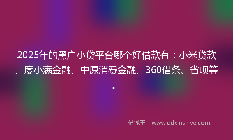 2025年的黑户小贷平台哪个好借款有：小米贷款、度小满金融、中原消费金融、360借条、省呗等。