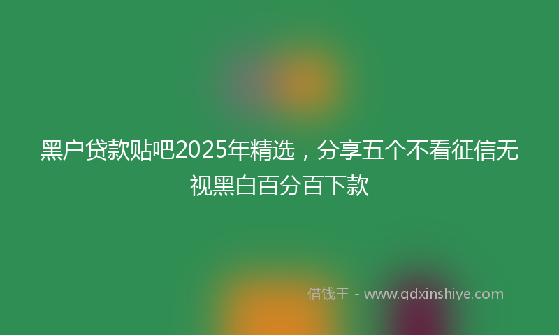 黑户贷款贴吧2025年精选，分享五个不看征信无视黑白百分百下款