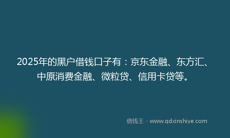 2025年的黑户借钱口子有：京东金融、东方汇、中原消费金融、微粒贷、信用卡贷等。
