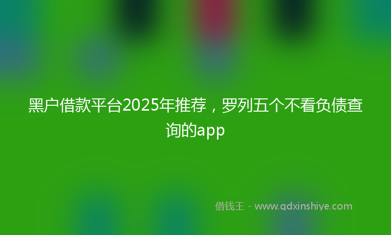黑户借款平台2025年推荐，罗列五个不看负债查询的app