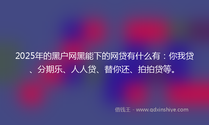 2025年的黑户网黑能下的网贷有什么有：你我贷、分期乐、人人贷、替你还、拍拍贷等。