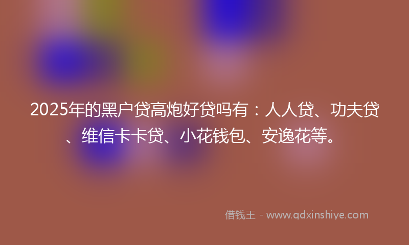2025年的黑户贷高炮好贷吗有：人人贷、功夫贷、维信卡卡贷、小花钱包、安逸花等。
