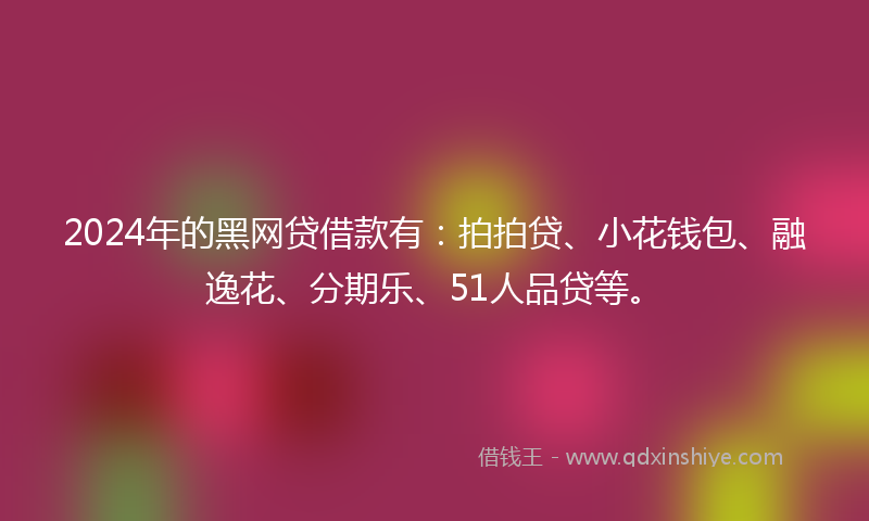 2024年的黑网贷借款有：拍拍贷、小花钱包、融逸花、分期乐、51人品贷等。