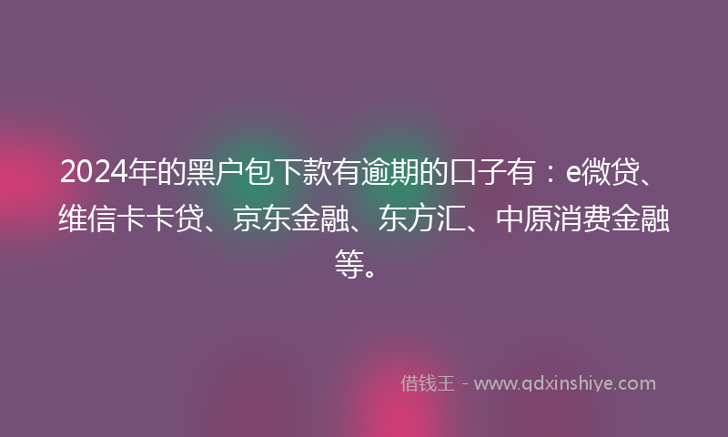 2024年的黑户包下款有逾期的口子有：e微贷、维信卡卡贷、京东金融、东方汇、中原消费金融等。
