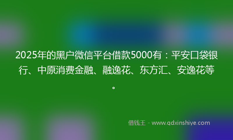 2025年的黑户微信平台借款5000有：平安口袋银行、中原消费金融、融逸花、东方汇、安逸花等。