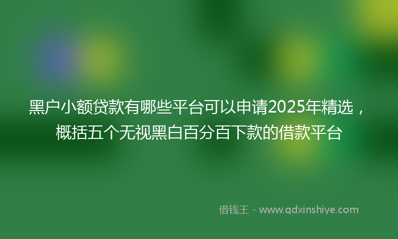 黑户小额贷款有哪些平台可以申请2025年精选，概括五个无视黑白百分百下款的借款平台