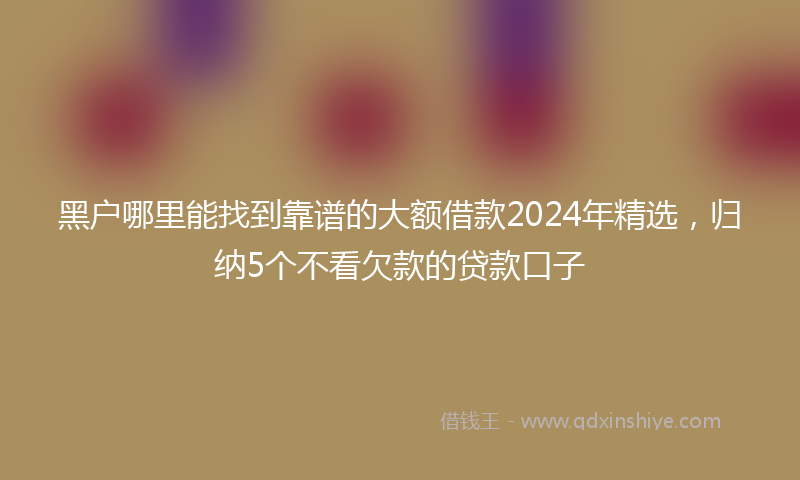 黑户哪里能找到靠谱的大额借款2024年精选，归纳5个不看欠款的贷款口子