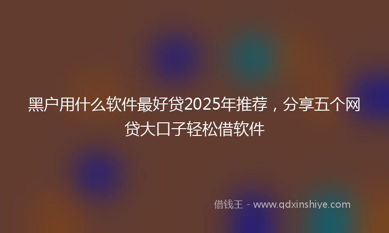 黑户用什么软件最好贷2025年推荐，分享五个网贷大口子轻松借软件