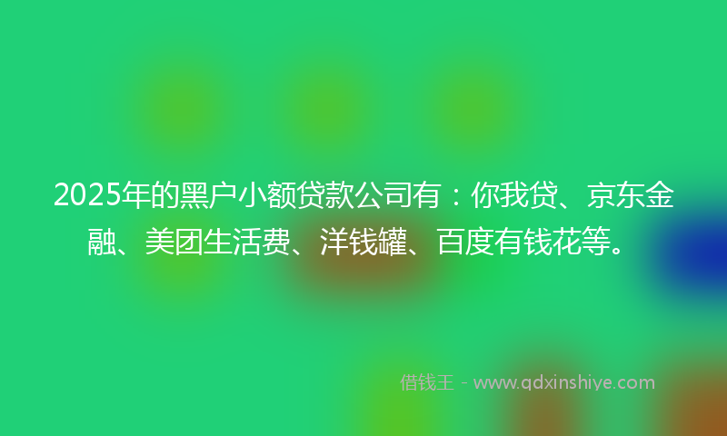 2025年的黑户小额贷款公司有：你我贷、京东金融、美团生活费、洋钱罐、百度有钱花等。