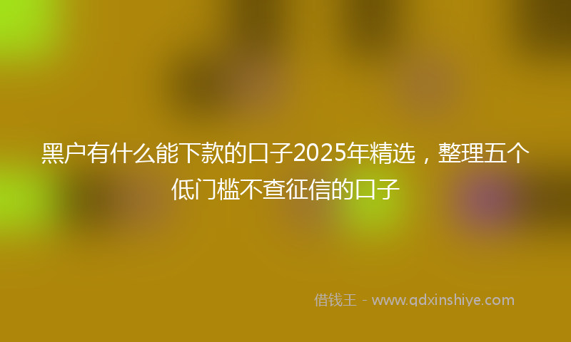 黑户有什么能下款的口子2025年精选，整理五个低门槛不查征信的口子