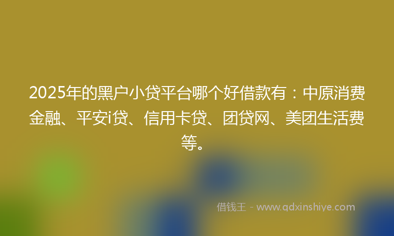 2025年的黑户小贷平台哪个好借款有：中原消费金融、平安i贷、信用卡贷、团贷网、美团生活费等。