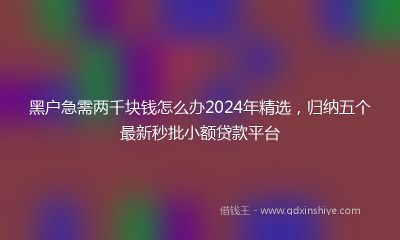 黑户急需两千块钱怎么办2024年精选，归纳五个最新秒批小额贷款平台