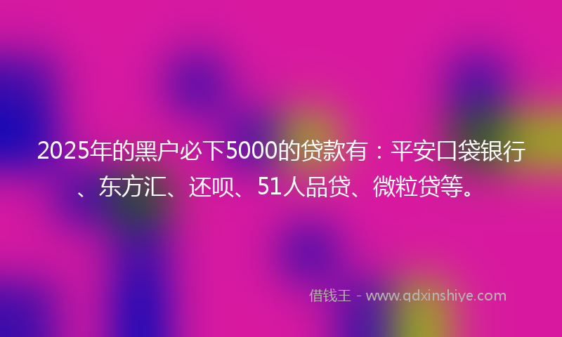 2025年的黑户必下5000的贷款有：平安口袋银行、东方汇、还呗、51人品贷、微粒贷等。