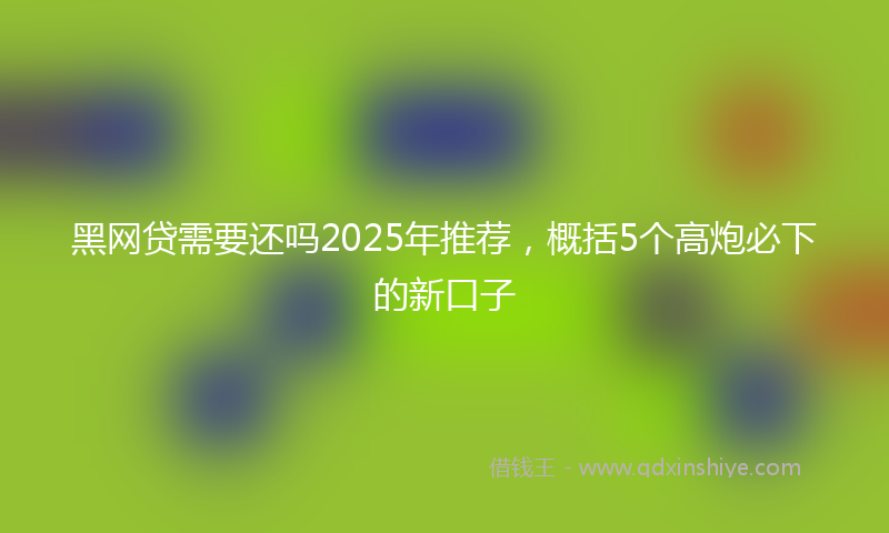 黑网贷需要还吗2025年推荐，概括5个高炮必下的新口子