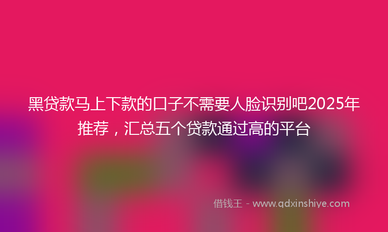 黑贷款马上下款的口子不需要人脸识别吧2025年推荐，汇总五个贷款通过高的平台