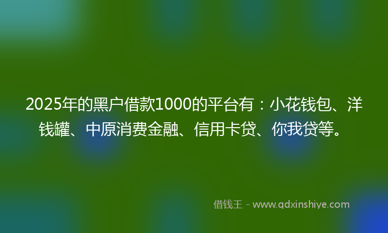 2025年的黑户借款1000的平台有：小花钱包、洋钱罐、中原消费金融、信用卡贷、你我贷等。
