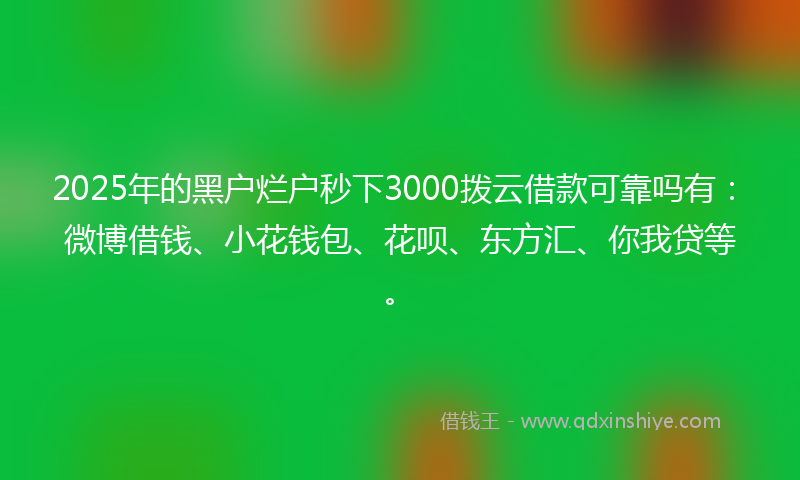 2025年的黑户烂户秒下3000拨云借款可靠吗有：微博借钱、小花钱包、花呗、东方汇、你我贷等。