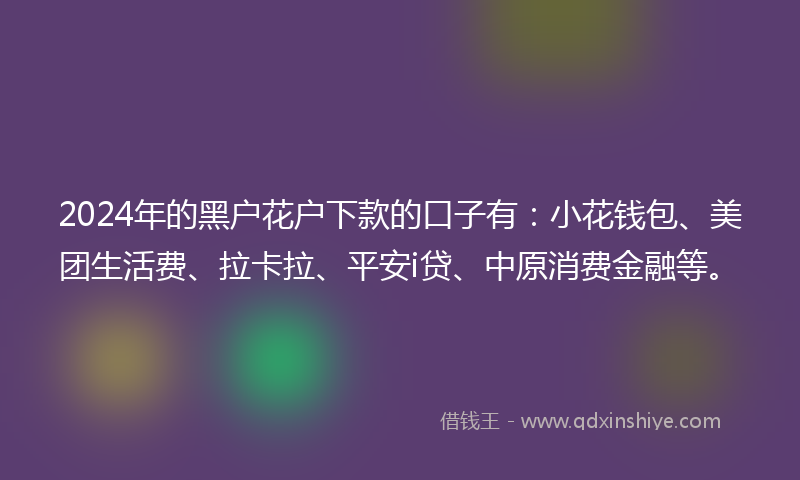 2024年的黑户花户下款的口子有：小花钱包、美团生活费、拉卡拉、平安i贷、中原消费金融等。