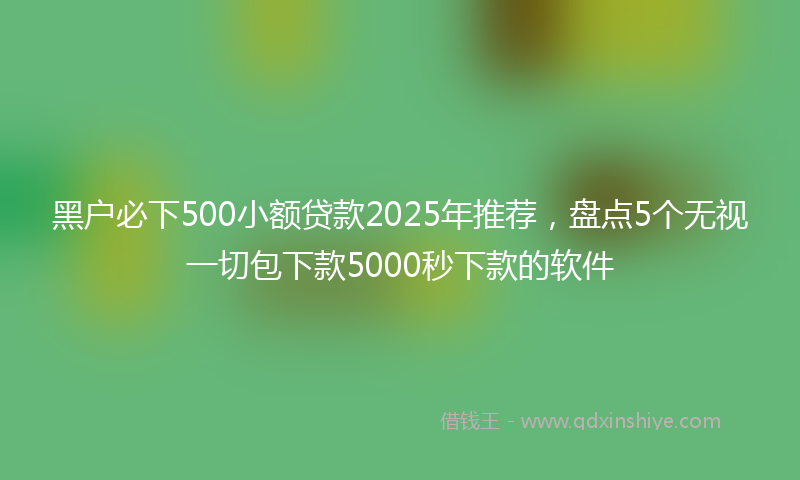 黑户必下500小额贷款2025年推荐，盘点5个无视一切包下款5000秒下款的软件