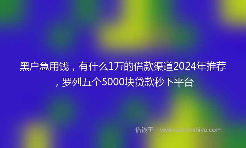 黑户急用钱，有什么1万的借款渠道2024年推荐，罗列五个5000块贷款秒下平台
