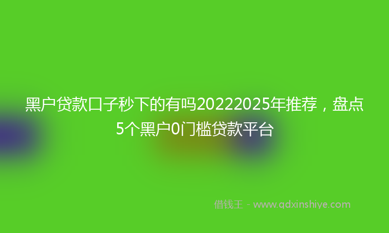 黑户贷款口子秒下的有吗20222025年推荐，盘点5个黑户0门槛贷款平台