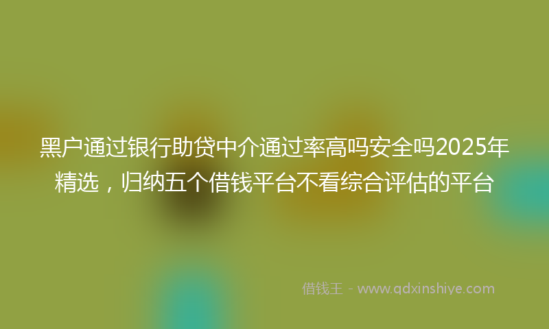 黑户通过银行助贷中介通过率高吗安全吗2025年精选，归纳五个借钱平台不看综合评估的平台