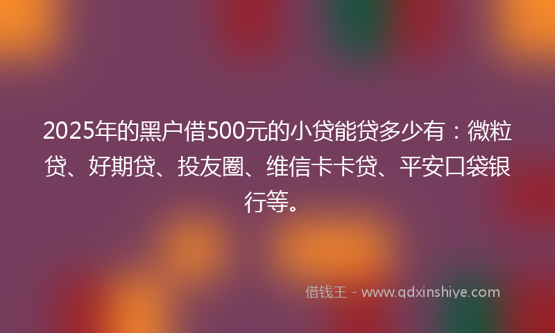 2025年的黑户借500元的小贷能贷多少有：微粒贷、好期贷、投友圈、维信卡卡贷、平安口袋银行等。