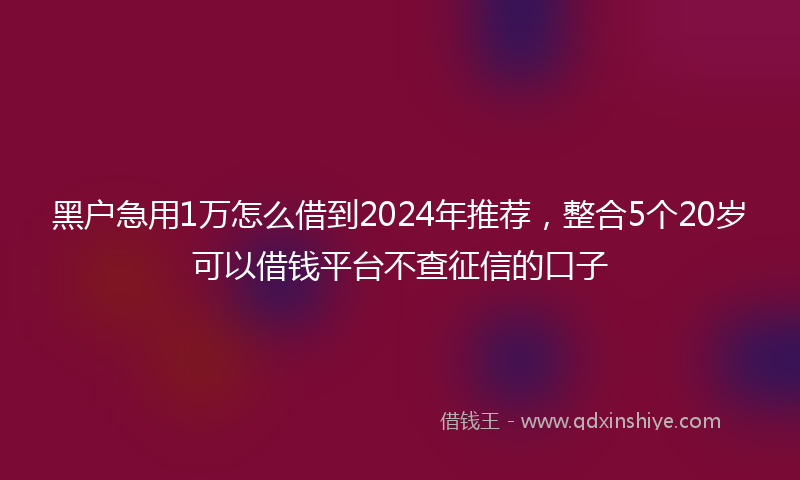 黑户急用1万怎么借到2024年推荐，整合5个20岁可以借钱平台不查征信的口子