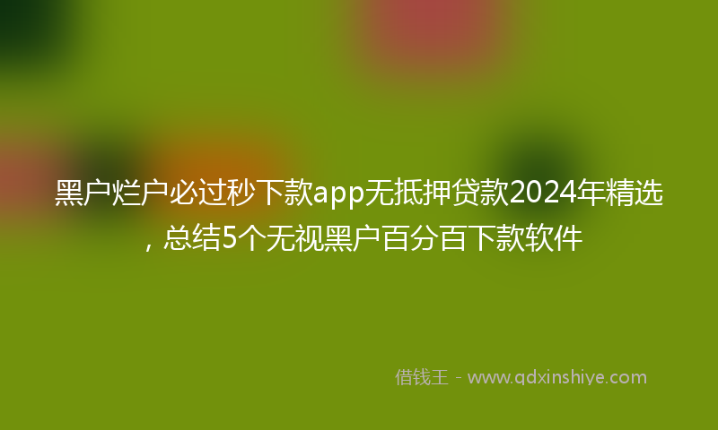 黑户烂户必过秒下款app无抵押贷款2024年精选，总结5个无视黑户百分百下款软件