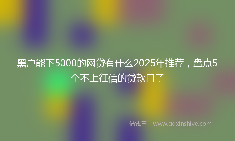 黑户能下5000的网贷有什么2025年推荐，盘点5个不上征信的贷款口子