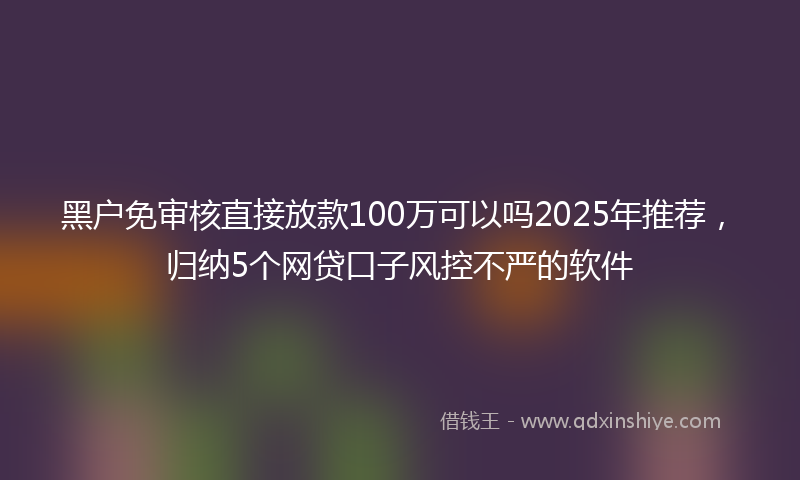 黑户免审核直接放款100万可以吗2025年推荐，归纳5个网贷口子风控不严的软件
