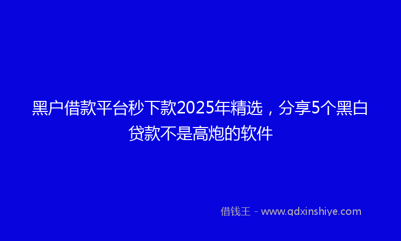 黑户借款平台秒下款2025年精选，分享5个黑白贷款不是高炮的软件
