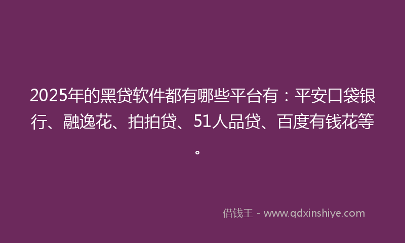 2025年的黑贷软件都有哪些平台有：平安口袋银行、融逸花、拍拍贷、51人品贷、百度有钱花等。