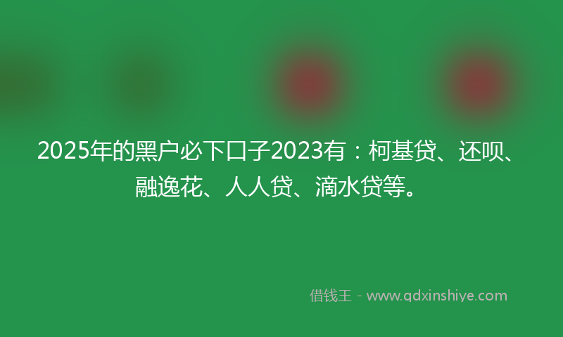 2025年的黑户必下口子2023有：柯基贷、还呗、融逸花、人人贷、滴水贷等。