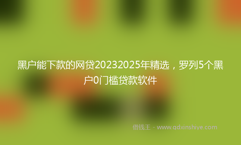 黑户能下款的网贷20232025年精选，罗列5个黑户0门槛贷款软件