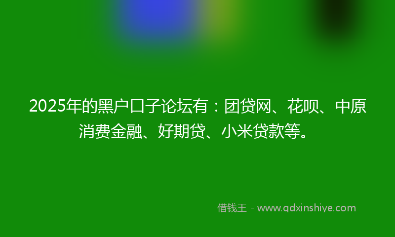 2025年的黑户口子论坛有：团贷网、花呗、中原消费金融、好期贷、小米贷款等。