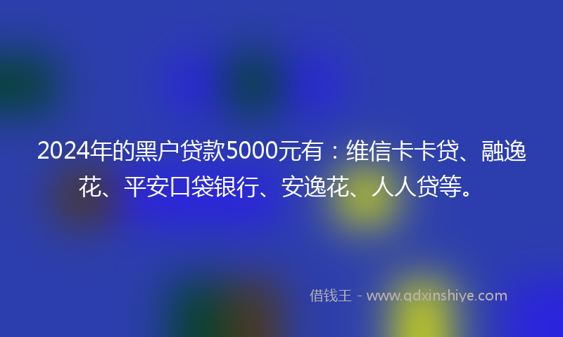 2024年的黑户贷款5000元有：维信卡卡贷、融逸花、平安口袋银行、安逸花、人人贷等。