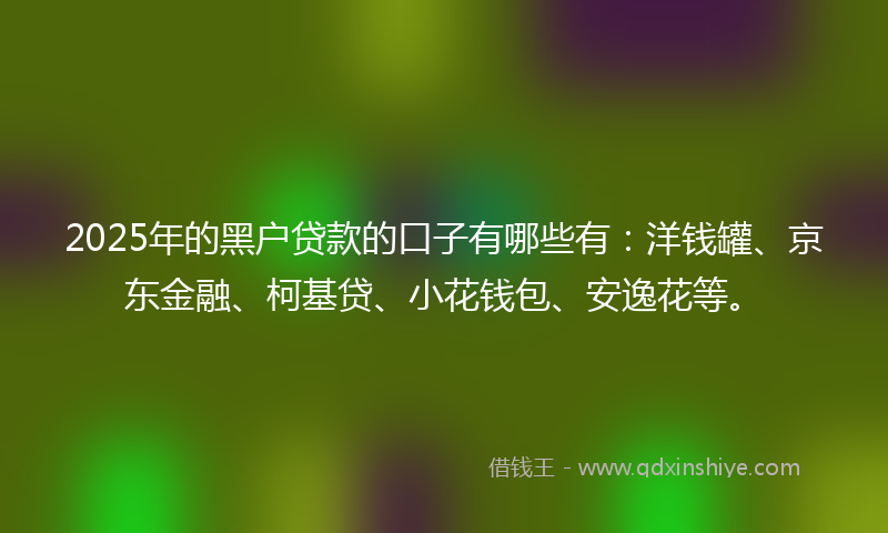 2025年的黑户贷款的口子有哪些有：洋钱罐、京东金融、柯基贷、小花钱包、安逸花等。