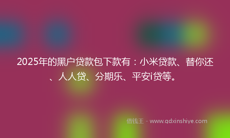 2025年的黑户贷款包下款有：小米贷款、替你还、人人贷、分期乐、平安i贷等。