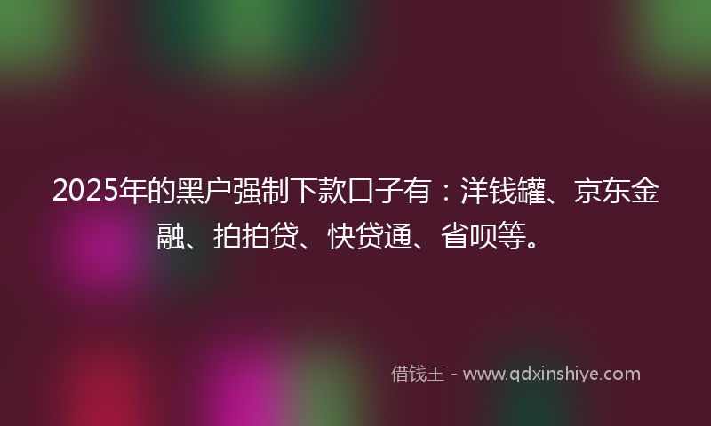 2025年的黑户强制下款口子有：洋钱罐、京东金融、拍拍贷、快贷通、省呗等。