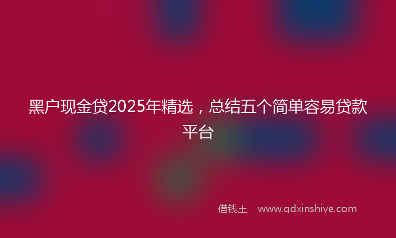 黑户现金贷2025年精选，总结五个简单容易贷款平台
