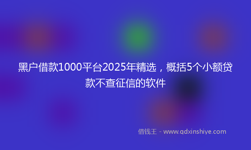 黑户借款1000平台2025年精选，概括5个小额贷款不查征信的软件