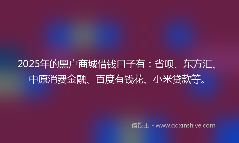 2025年的黑户商城借钱口子有：省呗、东方汇、中原消费金融、百度有钱花、小米贷款等。
